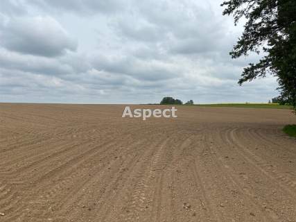Działki budowlane Studzionka