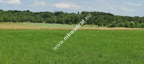 Wyjątkowa Działka rolna do podziału na budowlane