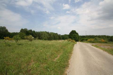 Działka 1172 m2 w pobliżu lasu. Niedalino.