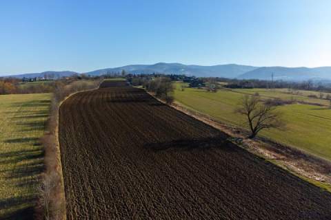 Działka Bielsko-Biała, ul. Francuska ok.1ha