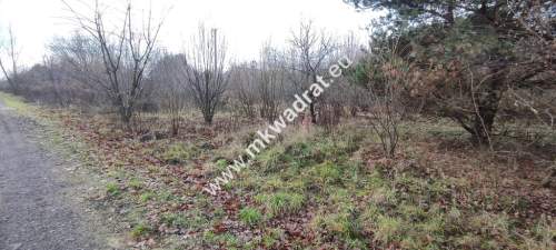 Działka Budowlana 4851 m Budy Grzybek