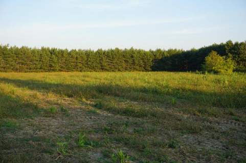 Ramiszów - działka inwestycyjna 15.000 m2