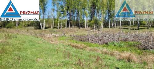 Ostatnie działki - Kolonia Mokiny 25zł/m.kw