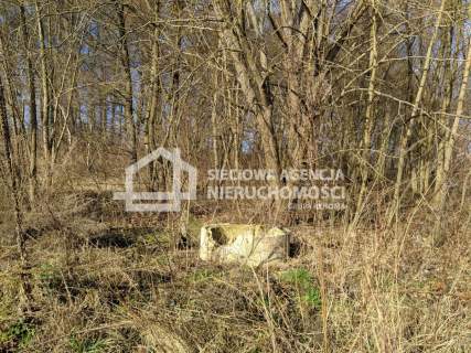 Atrakcyjna działka 3205m2, Lublwo Gdańskie