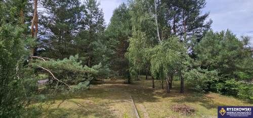 Dom pod lasem w samym sercu Roztocza - Krasnobród