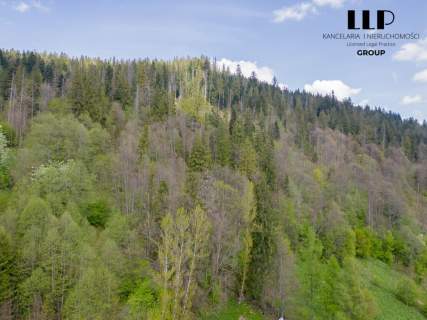 Działka budowlana Zakopane ul. Bilinówka