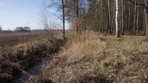 Wyjątkowa działka pod Wrocławiem