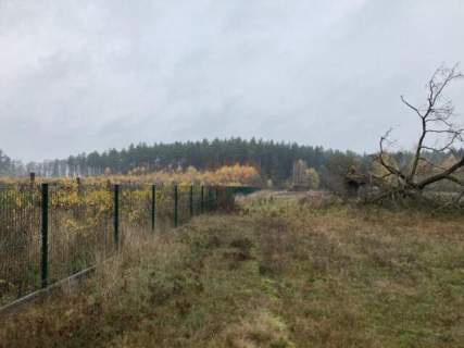 Działka nad jeziorem, Jagodno Wielkie z mediami, Giżycko, Miłków