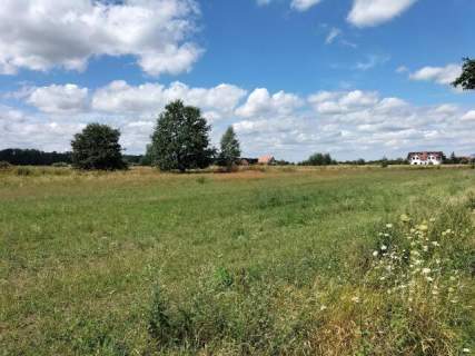 3.000 m2, siedliskowa, woda i prąd