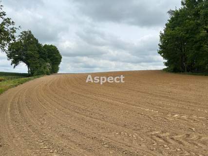 Działki budowlane Studzionka