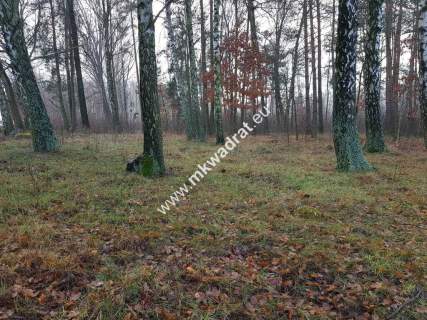 Działka z Warunkami Zabudowy 21800m Media Okazja