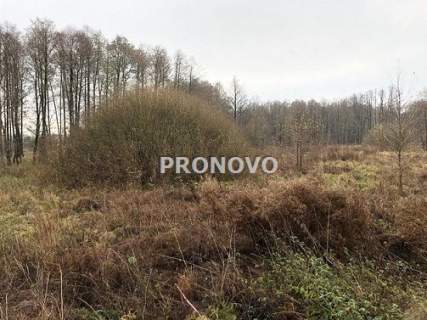 działka nad jeziorem Dominikowo