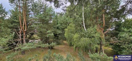 Dom pod lasem w samym sercu Roztocza - Krasnobród