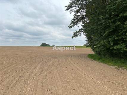 Działki budowlane Studzionka