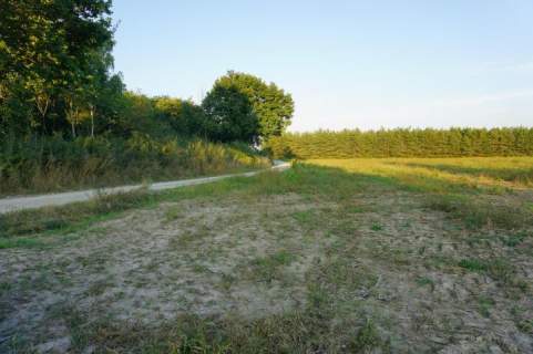 Ramiszów - działka inwestycyjna 15.000 m2