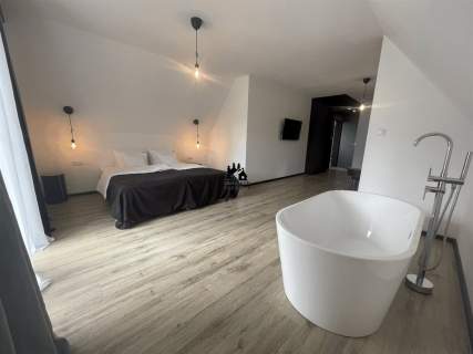 Dom na sprzedaż, 420 m2, Dzianisz