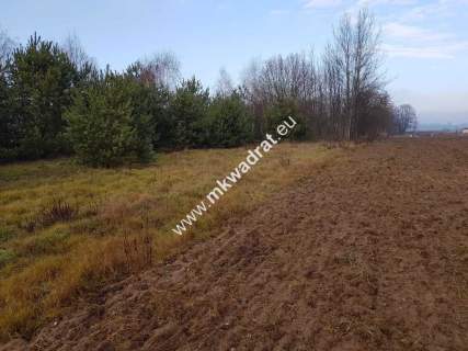 Działka z Warunkami Zabudowy 21800m Media Okazja