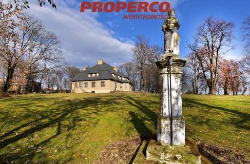 Zabytkowy zespół parkowo-dworski 650m2, Waśniów