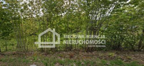 Działka rolna 13.504 m2, Kobylasz / Linia