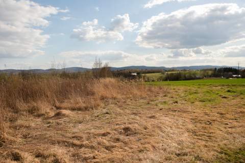 Działka rolno-budowlana w Ryglicach - 1,14 ha