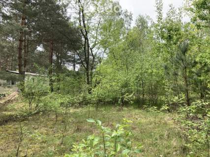 Działka budowlana 1000 m   Wężówka