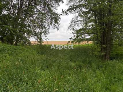 Działki budowlane Studzionka