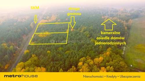 Duża działka Leśna w doskonałej lokalizacji