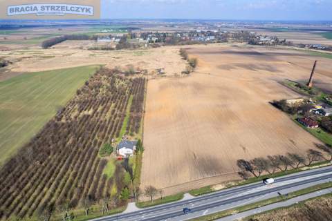 Działka dla dewelopera, inwestycyjna k/Błonia