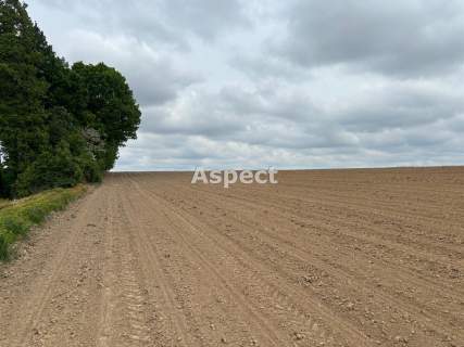Działki budowlane Studzionka