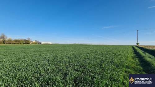 Sitaniec, Zamość, działka 1400m2 14ar