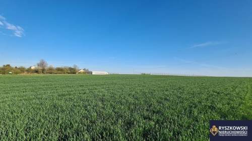 Sitaniec, Zamość, działka 1400m2 14ar