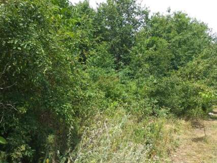 Dz. budowlana, 147 ar, uzbrojona w drodze , las