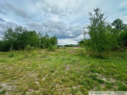 Działka inwestycyjna, 2,88 ha, Straszęcin, Żyraków