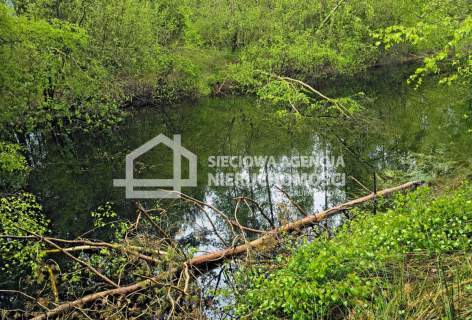 Działka rolna 13.504 m2, Kobylasz / Linia