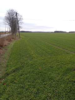 Sprzedam działki Winnica, 1000-1300m2