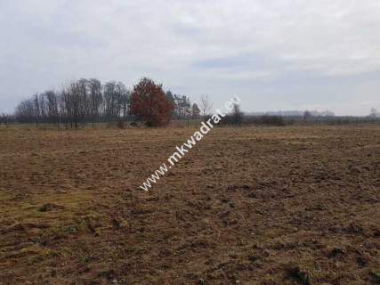 Działka z Warunkami Zabudowy 21800m Media Okazja