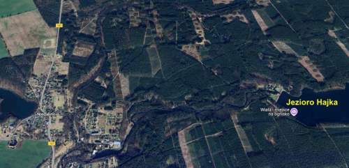 Działka 1172 m2 w pobliżu lasu. Niedalino.