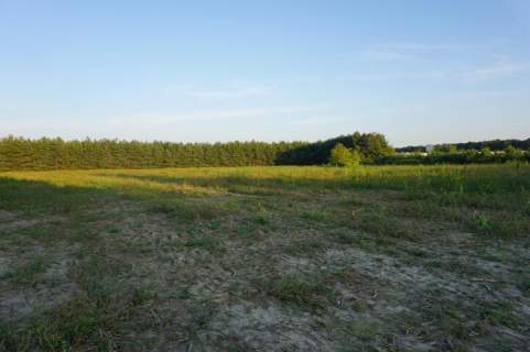 Ramiszów - działka inwestycyjna 15.000 m2