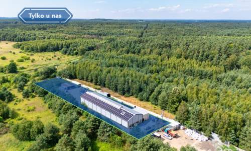 Hala na wynajem Wręczyca Mała