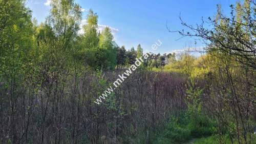 Działka 1000m2 Kazuń-Bielany z MPZP Super Cena