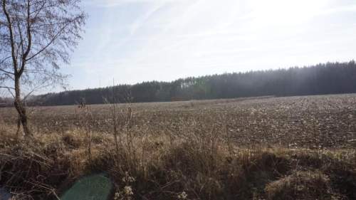 Działki budowlane pośród lasów.