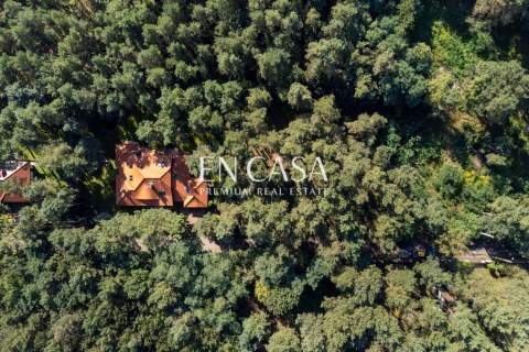 Radość Piękna działka - 1813 m2 Starodrzew