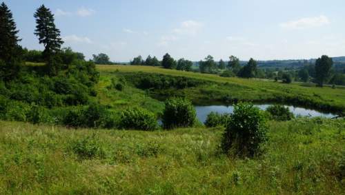 Działka 34.4977ha,m.Bobolice,las,oczko wodne,dr .