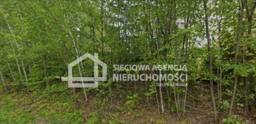 Działka rolna 13.504 m2, Kobylasz / Linia