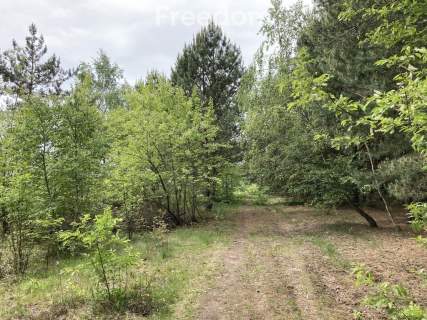 Działka budowlana 1000 m   Wężówka