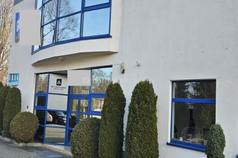 Nieruchomość komercyjna do wynajęcia, 290 m2, Łódź