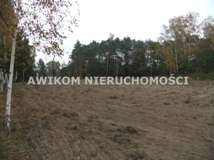 Działka budowlana na sprzedaż, 1100 m2, Skierniewice