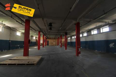 Do wynajęcia magazyn, hala-produkcja - Rybitwy