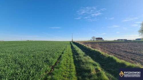 Sitaniec, Zamość, działka 1400m2 14ar