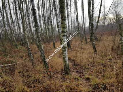 Działka z Warunkami Zabudowy 21800m Media Okazja